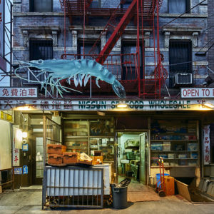 madison street chinatown fotografie fotokunst new york cp krenkler fine art prints NYC