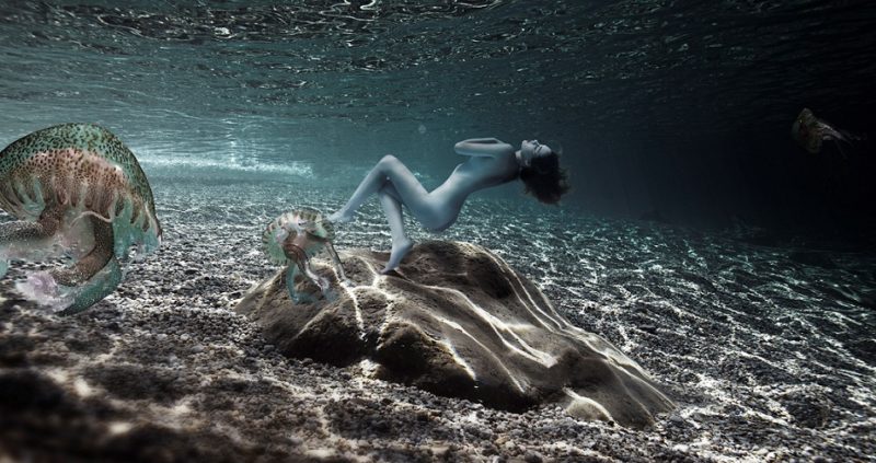 nostromo unterwasser fotografie gaby fey fotos unterwasserkunst sylt art fair ausstellung gaby fay kunst aus köln fotokunst fey model