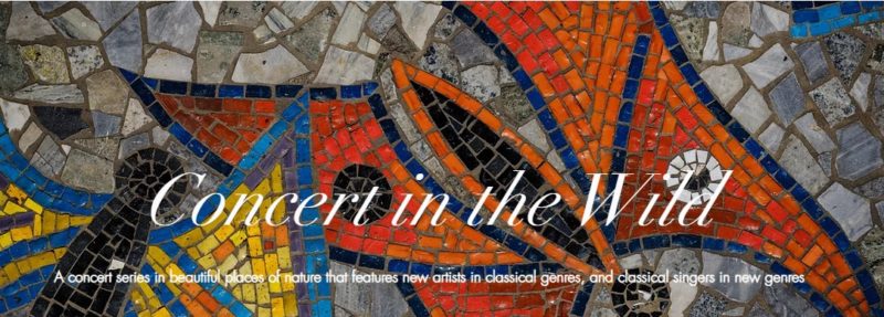 concert in the wild kakikunst ausstellung kunst in berlin Friedrich Michael Schreiber klassiche musik trifft kunst kaufen online galerie erfahrung katja kirseck