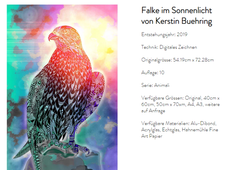 Kunst aus der Schweiz - Werk der Woche #66 - Falke im Sonnenlicht - digitale Kunst von Kerstin Bühring. Kunst online entdecken auf arttrado