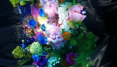 Gaby Fey in Erftstadt erleben: Tag der offenen Tür (8.–10. Mai 2026) mit Unterwasserfotografie, neuen Werken & persönlichem Austausch. Gaby Fey Werk aus der Serie Partion de fleurs.