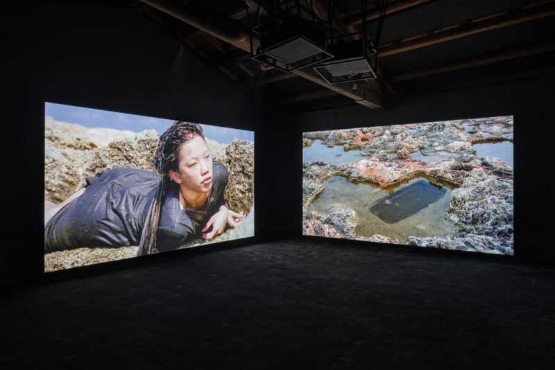 Der litauische Pavillon auf der Biennale Venedig 2026 überrascht mit Eglė Budvytytės „animism sings anarchy“. Kunst entdecken auf ARTTRADO. Plattform für Kunst und Kultur. Litauen Pavillon Venedig Italien.